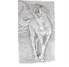 Equine Grandeur Striking Large Horse Wall Sculpture