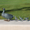 Duck with Ducklings Garden Statue 4 Piece Set